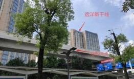 广州花都最新爆料,揭秘城市蜕变背后的故事